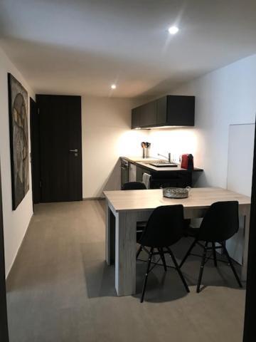 Apartment Blue River Losone