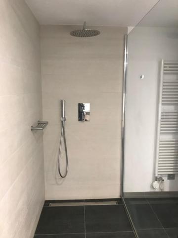 Blue River Apartment Losone