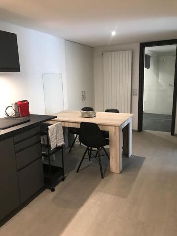 Apartment Blue River Losone